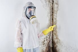 Reliable Coopertown, TN Mold Remediation Solutions